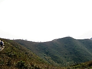 Thumbnail of PC120079.JPG