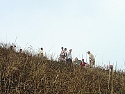 Thumbnail of DSC03383.JPG