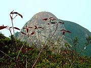Thumbnail of DSC03427.JPG