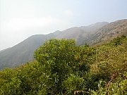 Thumbnail of DSCN1953.JPG