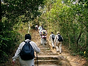 Thumbnail of PC190002.JPG