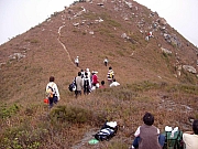 Thumbnail of PC190095.JPG