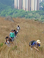Thumbnail of DSC03487.JPG