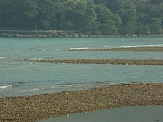 Thumbnail of PICT0037.JPG