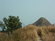 Thumbnail of PICT0135.JPG