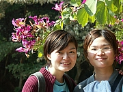 Thumbnail of PICT0131.JPG