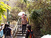 Thumbnail of P3060120.JPG