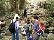 Thumbnail of P3200043.jpg