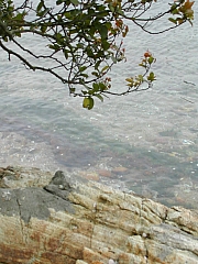 Thumbnail of DSCN2548.JPG