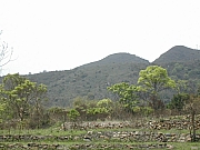 Thumbnail of DSCN2605.JPG