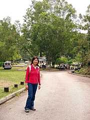 Thumbnail of P4170072.JPG