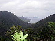 Thumbnail of P5010082.jpg