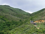 Thumbnail of P5220055.JPG