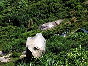 Thumbnail of PICT0179.JPG
