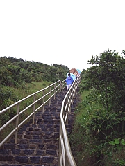Thumbnail of P8210117.jpg