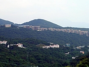 Thumbnail of P8280003.jpg