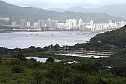 Thumbnail of IMG_1030.JPG