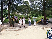 Thumbnail of PA090059.JPG