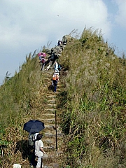 Thumbnail of PB060032.JPG