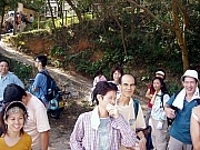 Thumbnail of PB130005.JPG