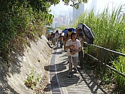 Thumbnail of PB130008.JPG