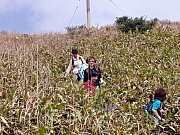 Thumbnail of P1150124.JPG
