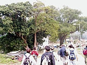 Thumbnail of P2120002.JPG