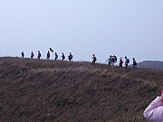 Thumbnail of P2120071.JPG