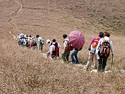 Thumbnail of P2120095.JPG