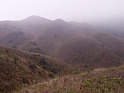 Thumbnail of P2190053.JPG