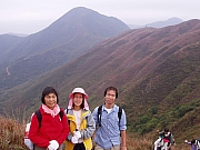 Thumbnail of P3050065.JPG