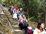 Thumbnail of P3190049.JPG