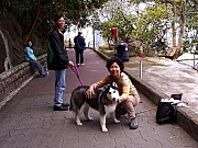 Thumbnail of P3190081.JPG