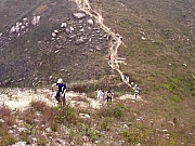 Thumbnail of P4020085.JPG