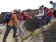 Thumbnail of P4090080.JPG