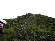 Thumbnail of P4230019.JPG