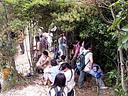 Thumbnail of P4230071.JPG