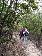 Thumbnail of P5070078.JPG