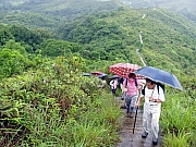 Thumbnail of P5280030.JPG
