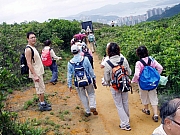 Thumbnail of P6040074.JPG