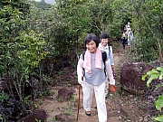 Thumbnail of P6110030.JPG