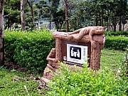Thumbnail of P7230042.JPG