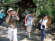 Thumbnail of P8130018.JPG