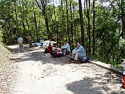 Thumbnail of P8130047.JPG