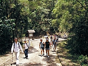 Thumbnail of P8130051.JPG