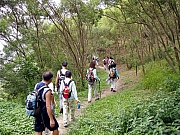 Thumbnail of P9030051.JPG