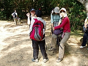 Thumbnail of PB050047.JPG