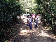 Thumbnail of PB050062.JPG
