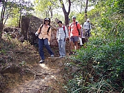 Thumbnail of PB120078.JPG