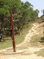 Thumbnail of PC032506.JPG
